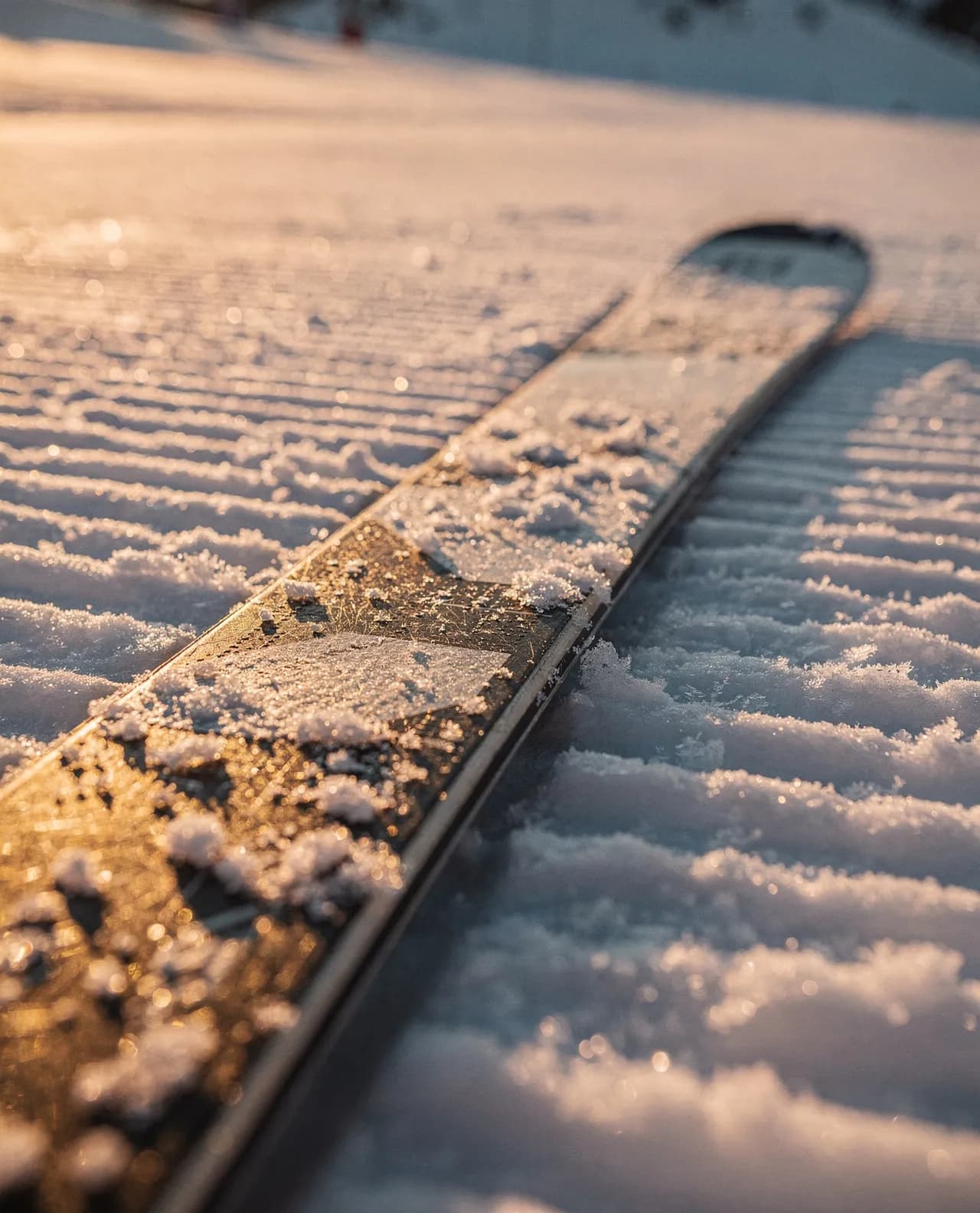 Ski